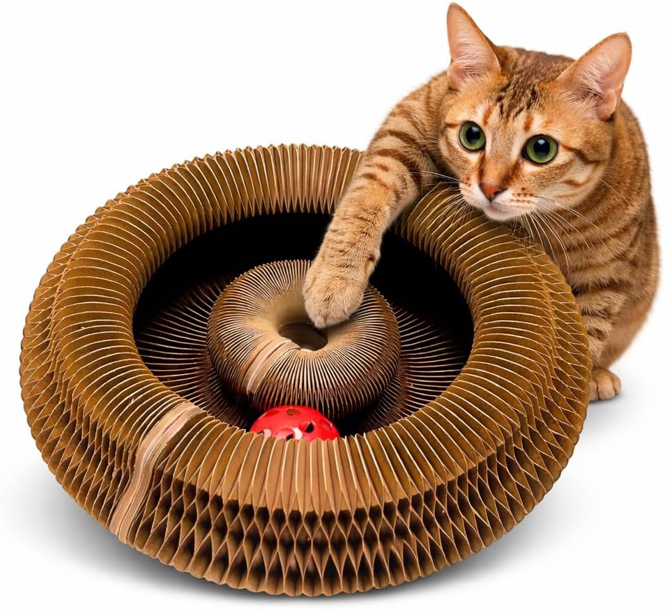 Kitty Kurlzz Cat Toy - Magic Organ Accordion Scratcher with Ball Track, Foldable Honeycomb Cardboard Scratching Board, Reversible Interactive Toy for Indoor Cats - Magic Cat Scratch Board (Cat Face)
