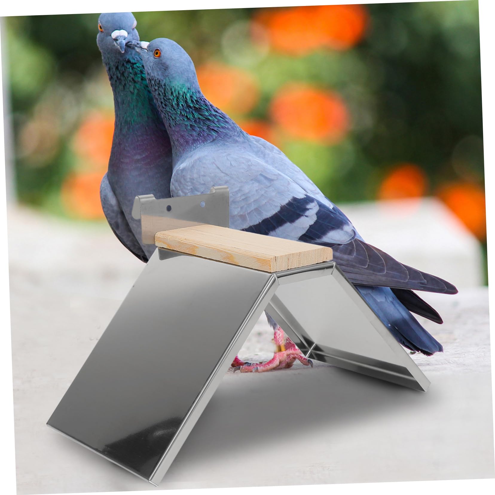 Toddmomy 6piezas Percha para Aves De Inoxidable Soporte para y Periquitos Juguete De Entrenamiento Descanso y Jaulas
