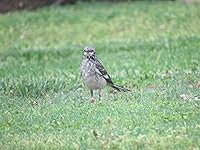 Review Image by Jessica Jessica