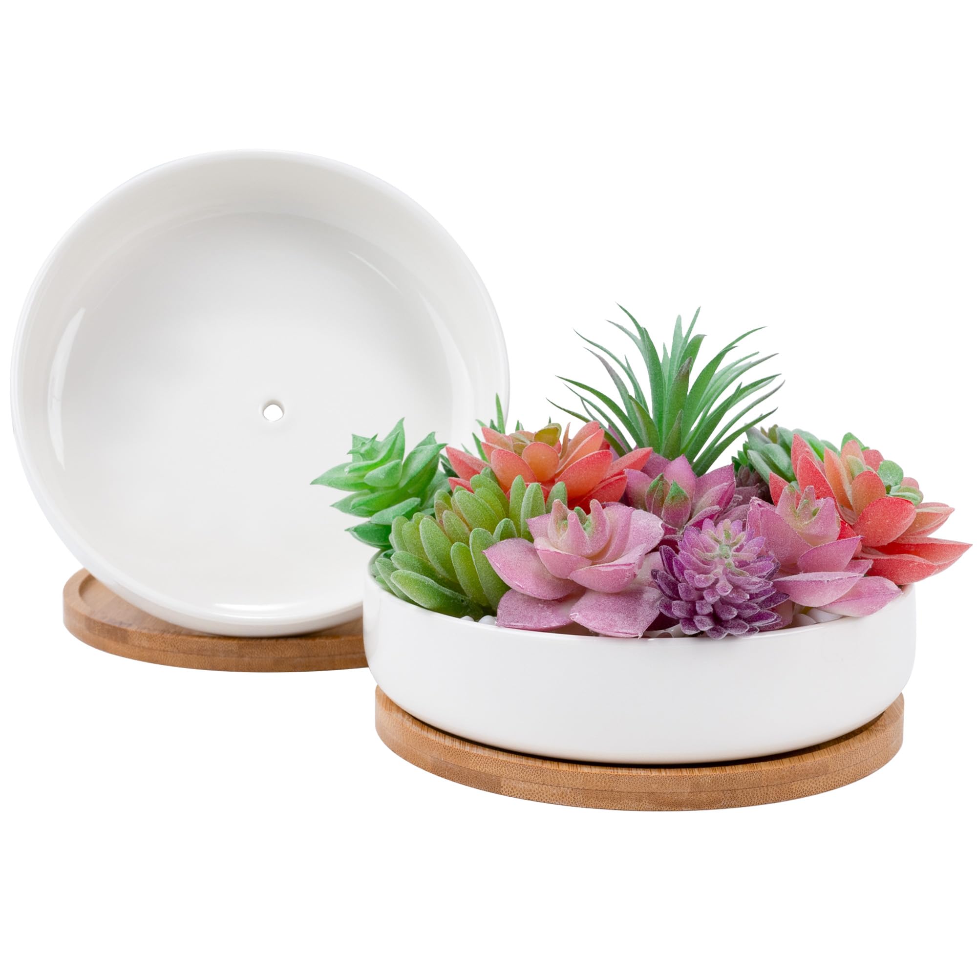 Leismy 2 PCS Succulent Pot Cactus Containers White Ceramic Planter with Drainage Hole and Removable Tray Small Plant Pots for Home Office Decor Bonsai Container for Indoor Outdoor Plants (Circle)