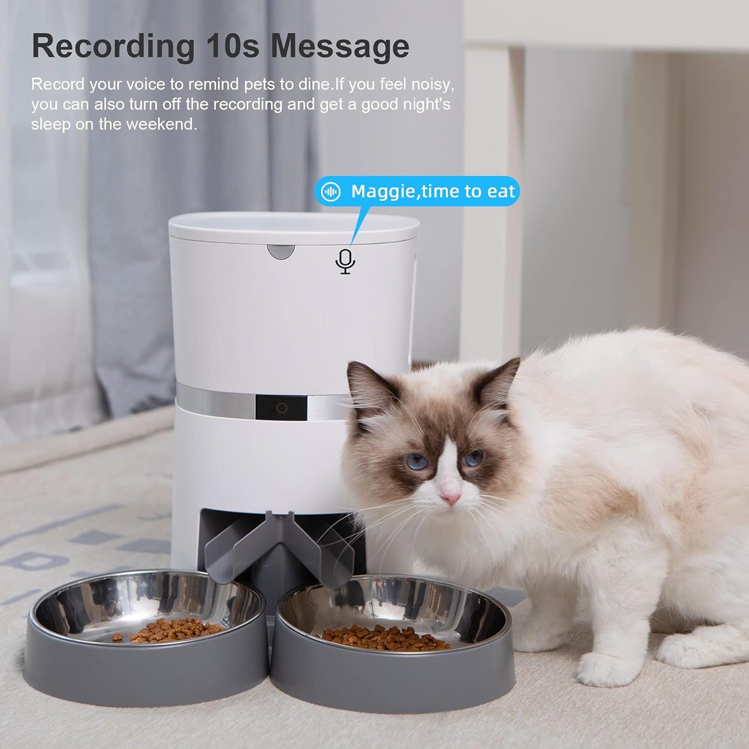 cat feeding machine