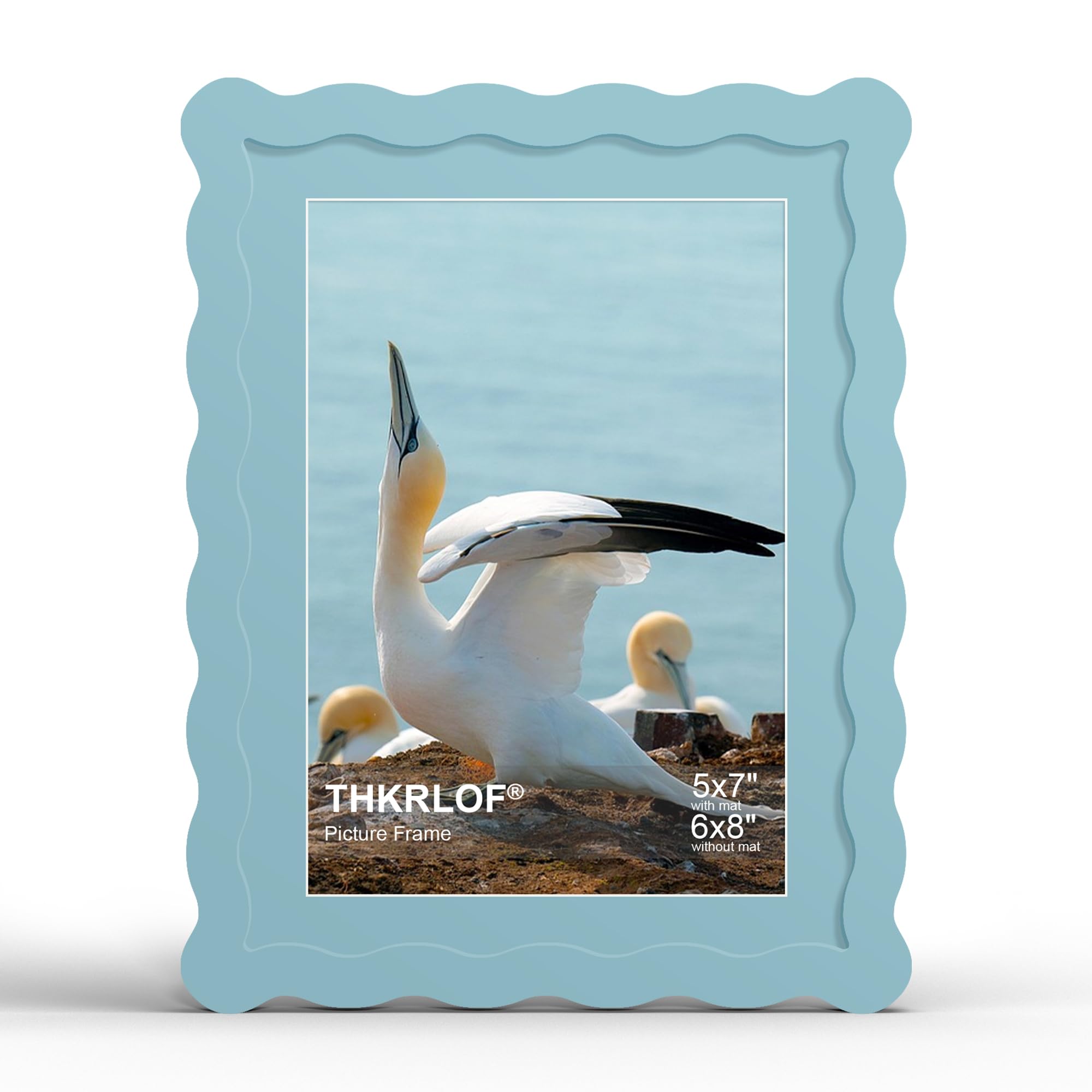 Photo 1 of THKRLOF 6x8 Picture Frame with Mat for 5x7, Blue