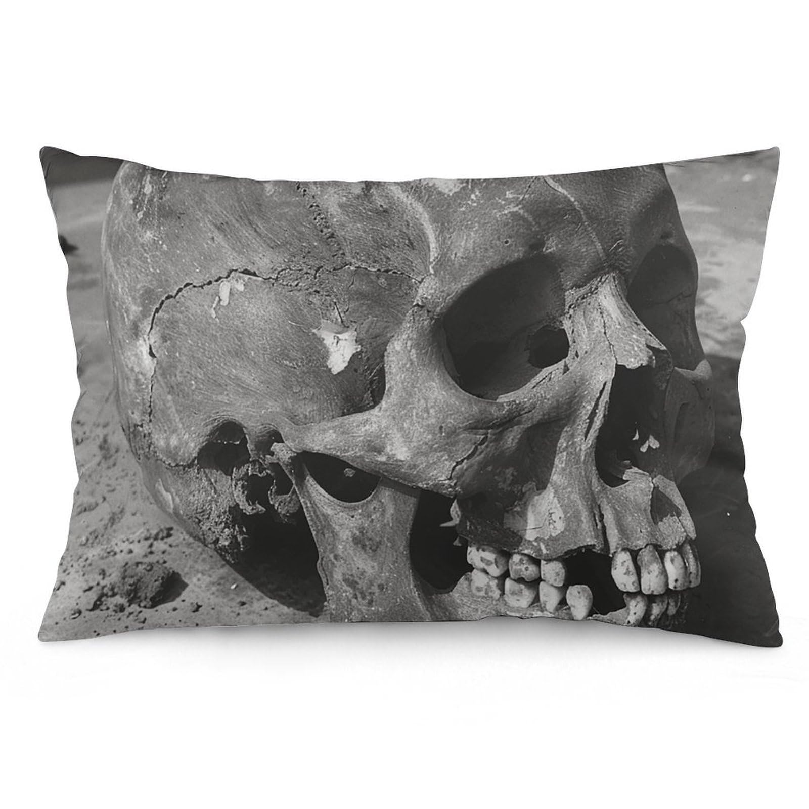 NTVOWPZO 2 Pack Decoration Throw Pillow Covers 12 "x20 Pillowcases Covers Ancient Human Skull Pillowcases Modern Farmhouse Home Decor Sofa Cushions Covers for Couch Bed Living Room