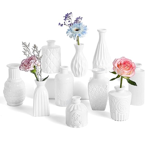 Vintage Small Glass Vases Set of 10,Mini Bud Vases for