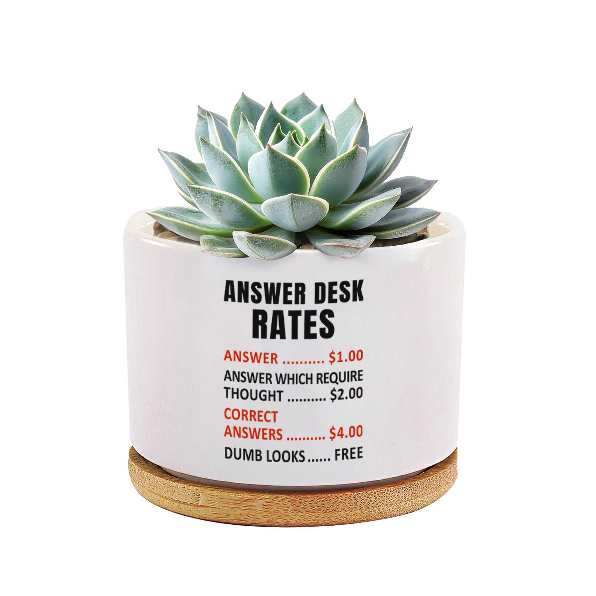 Pot de fleurs succulentes céramique Answer Desk Rates pour décoration bureau