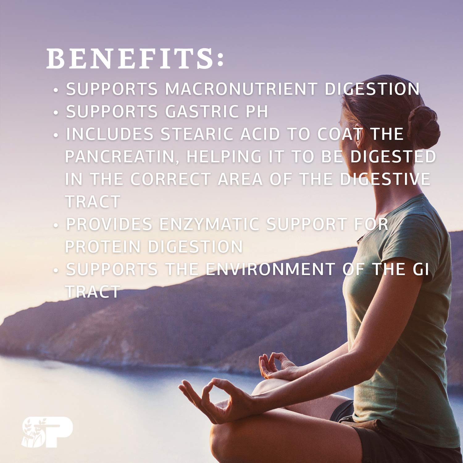 Standard Process Zypan Whole Food Digestion and Digestive Health with