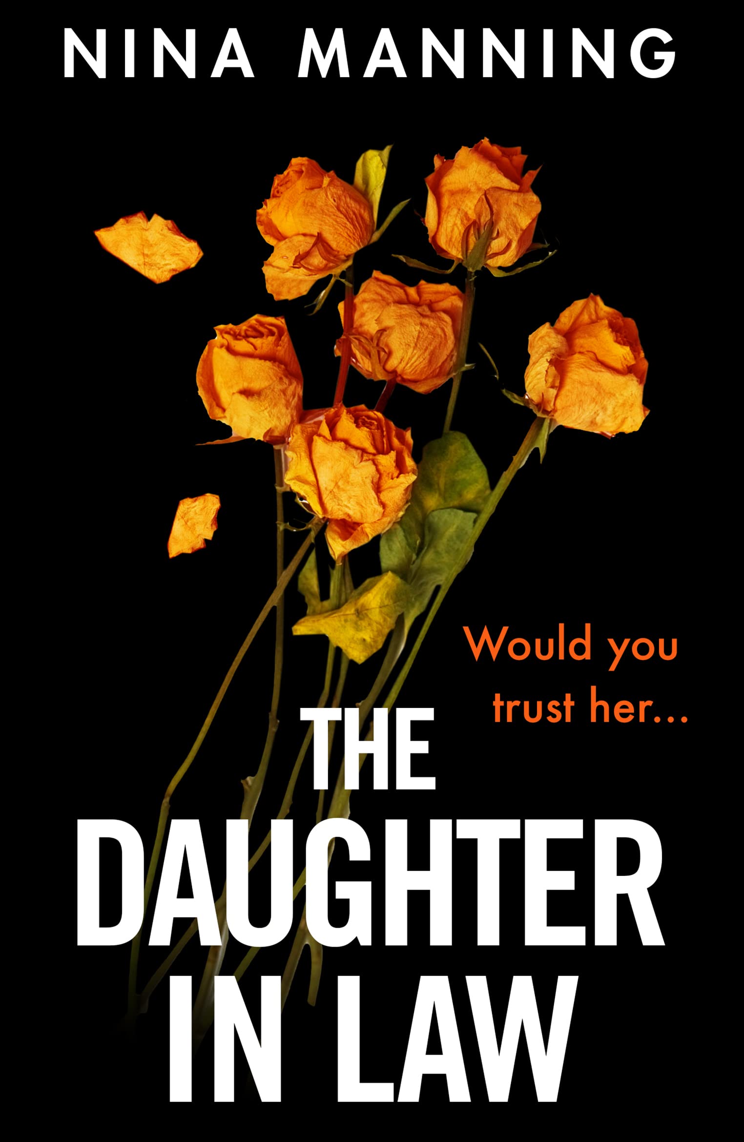 The Daughter In Law: A gripping psychological thriller with a twist you won't see coming
