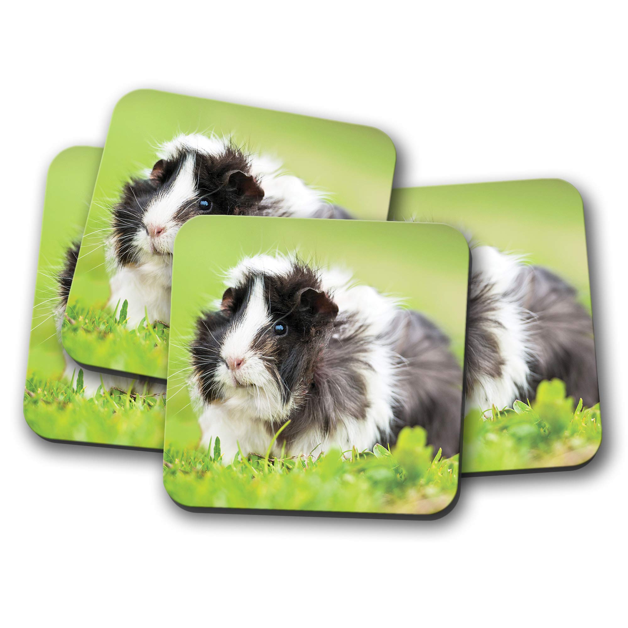4 Set - Cute Guinea Pig Coaster - Animal Rodent Kids Pet Rat Mouse Gift #8757 — image 1