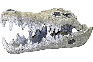 Unveil the Mysteries of Nile Crocodile Anatomy with This Realistic Alligator Skeleton Ornament