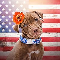 Vista 207 de Unique Style Paws - Collar rosa con hebilla de metal, duradero y lindo para perros pequeños a grandes