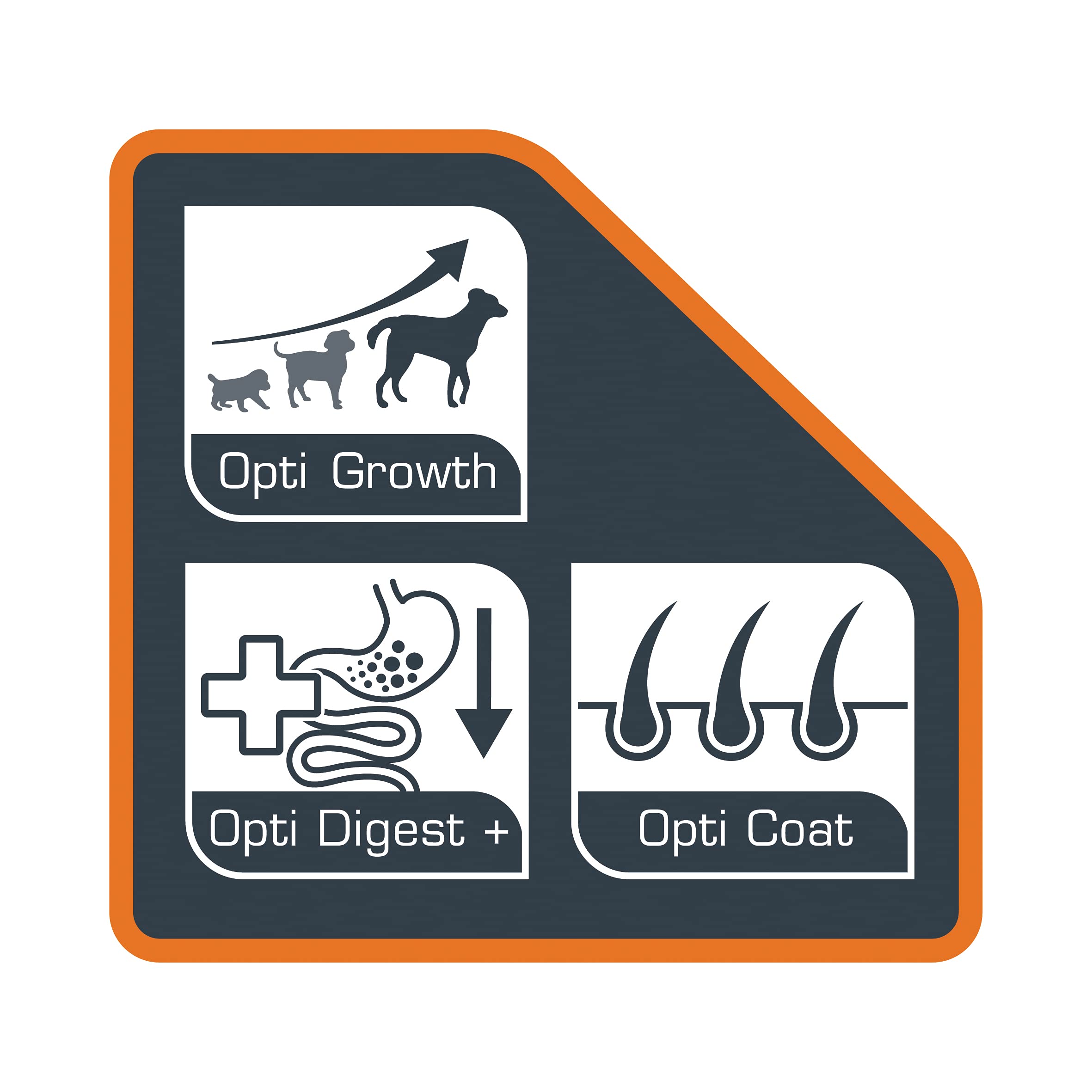 VERSELE-LAGA - OPTI Life Puppy Sensitive All Breeds - Pienso para Cachorros sensibles - Todas Las Razas - 12,5kg