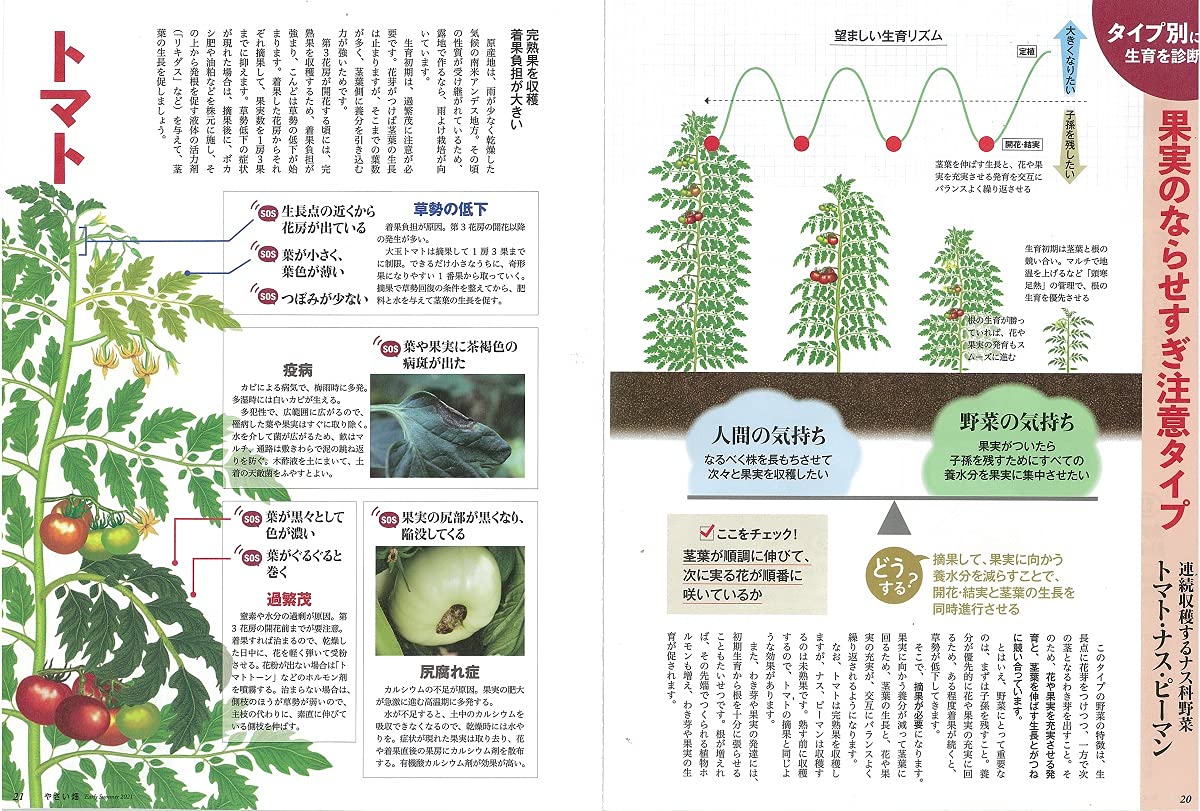 やさい畑 初夏号 21年 6月号