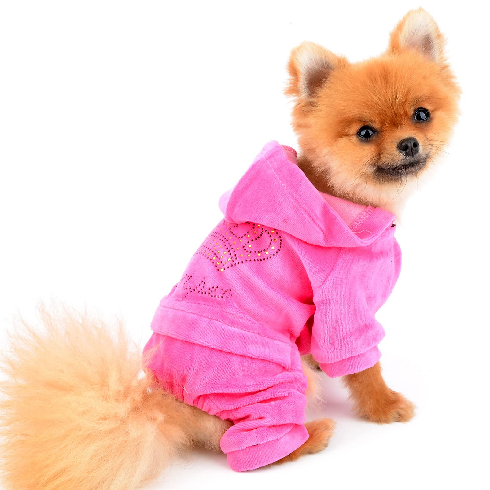 Hunde-Spitzenkleid Gelb Größe L – Rücken-Traktionsschnalle, Für Kleine Hunde & Katzen, Weich & Atmungsaktiv