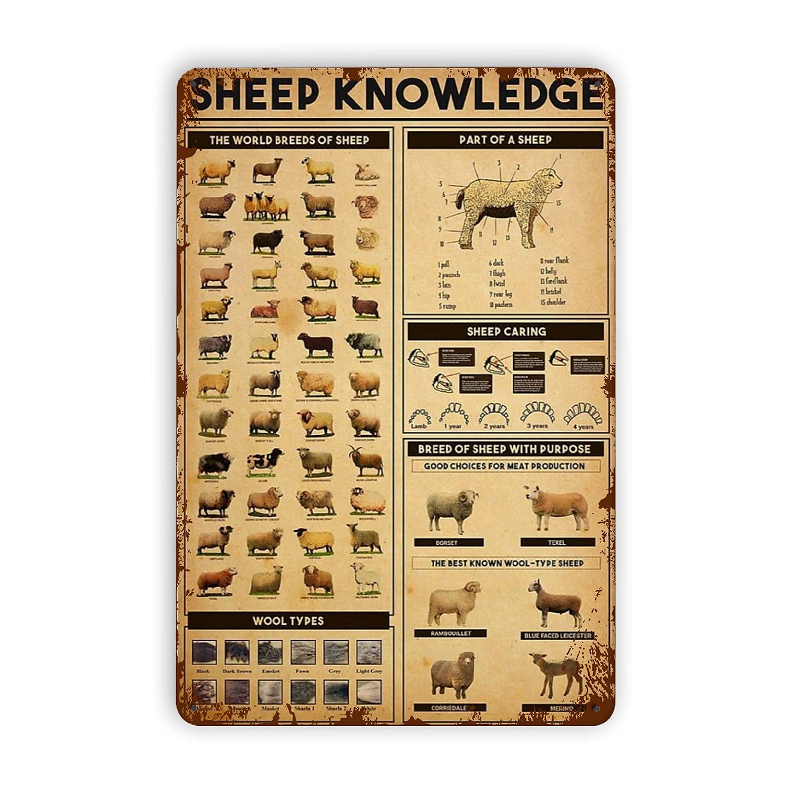 Lsjuee Sheep Knowledge Tin Signs, Sheep Knowledge Metal Tin Sign Vintage Decorations Poster Decorative for Bathroom Cafe Bar Garage Home Shop Decor Wall 8x12 Inch