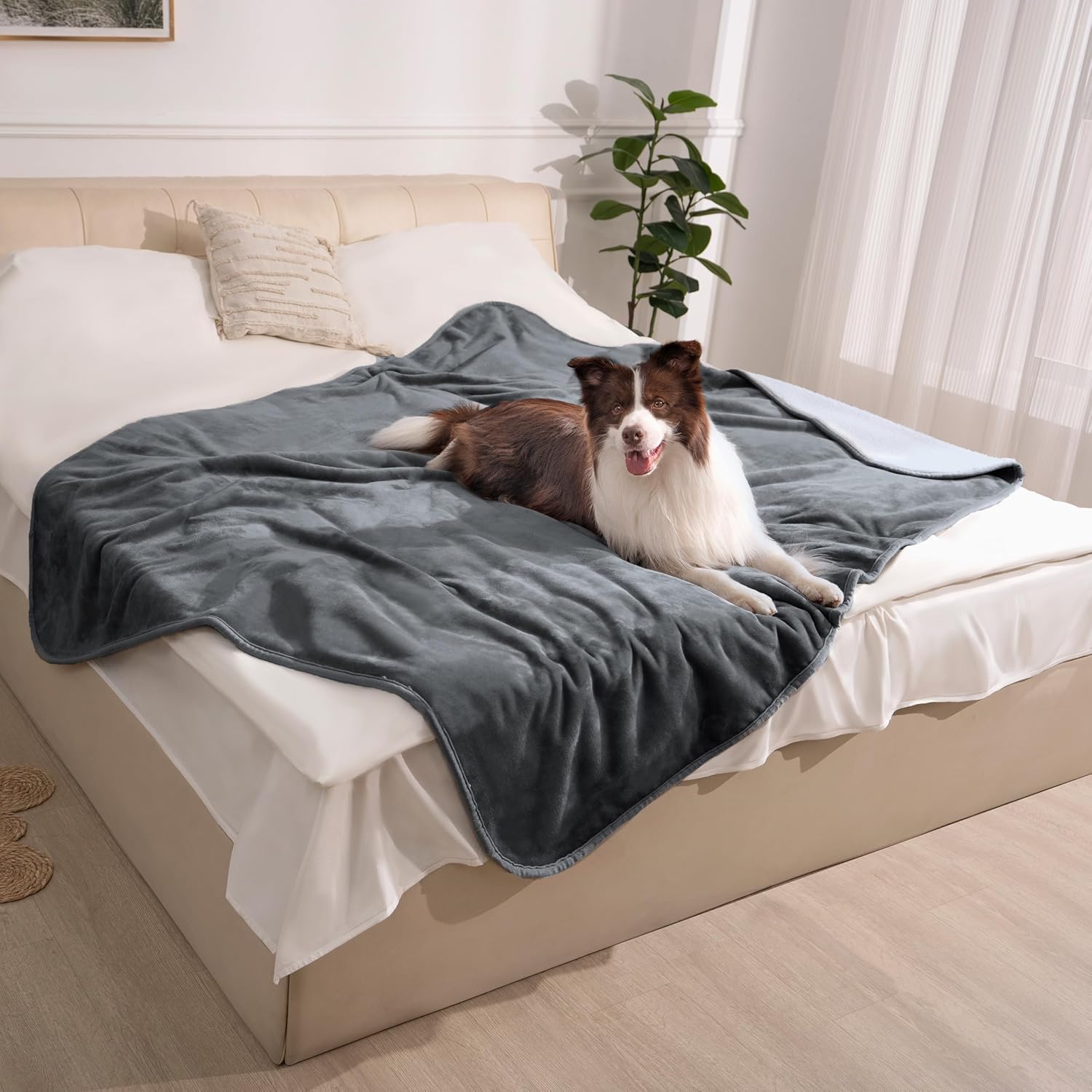 Weaveinbay Waterproof Dog Blanket - Image 2