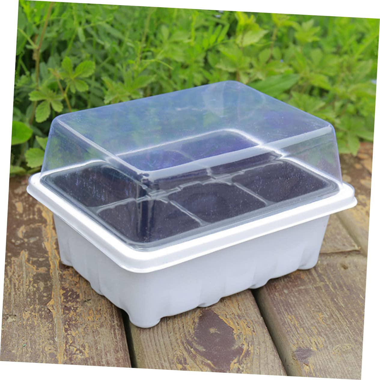 PartyKindom 2 Ensembles Boîte À Semis Plantes pour Plateaux Usine Entrée Bac De Culture Box De Culture Plateau De Pépinière De Légumes Plantant des Conteneurs Plastique 6 Pièces * 2