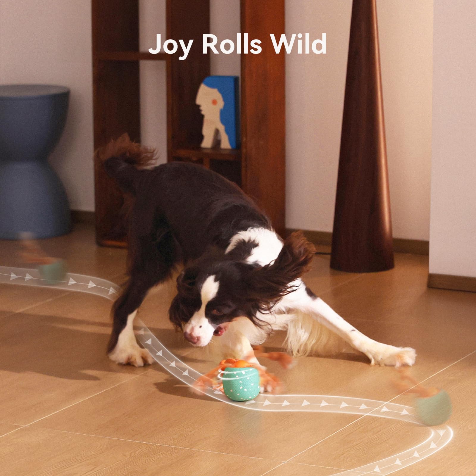 Wicked Ball Rolly (Aqua)