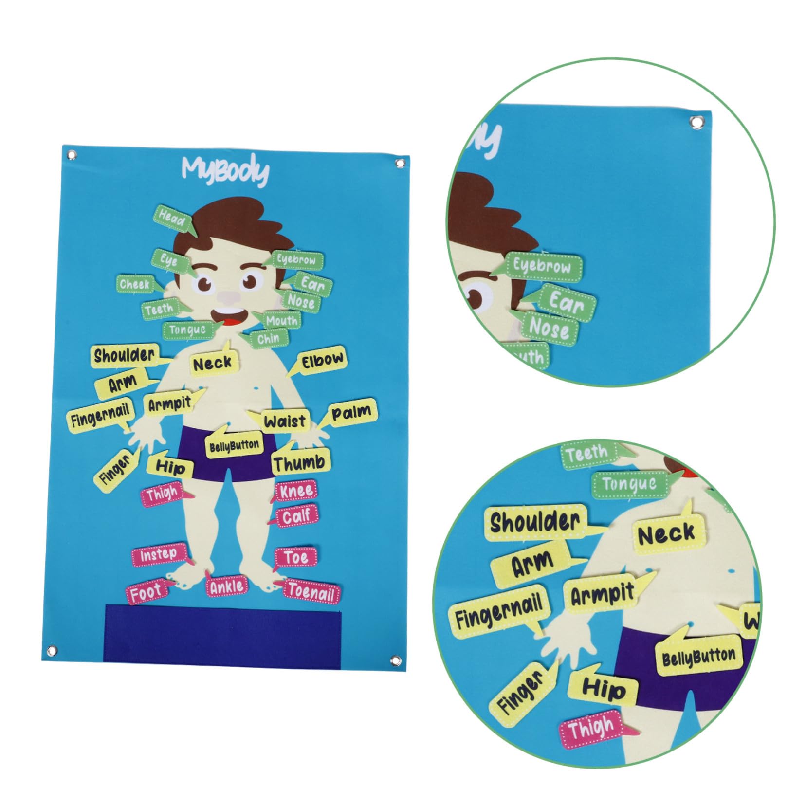 BESPORTBLE Tablero de Fieltro Forma de Cuerpo Humano para Niños en Edad Preescolar, 82X56 CM, Herramienta Interactiva de Aprendizaje Práctico para Actividades Grupales y Narración
