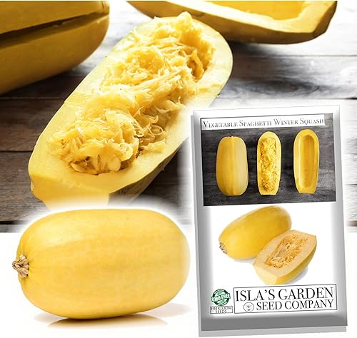 Semillas de calabaza de invierno de espagueti vegetal para plantar, más de 25 semillas tradicionales por paquete, semillas de jardín de Isla