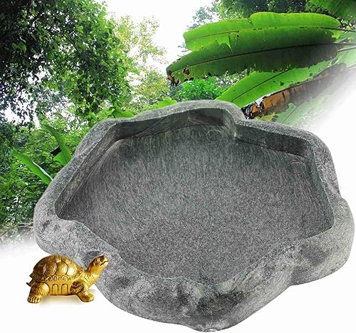 Miniatura 6 de Durable Reptile Rock Alimentador de alimentos y agua Plato de fuente para tortuga lagarto (verde M) Herramientas de cría de reptiles, (S)