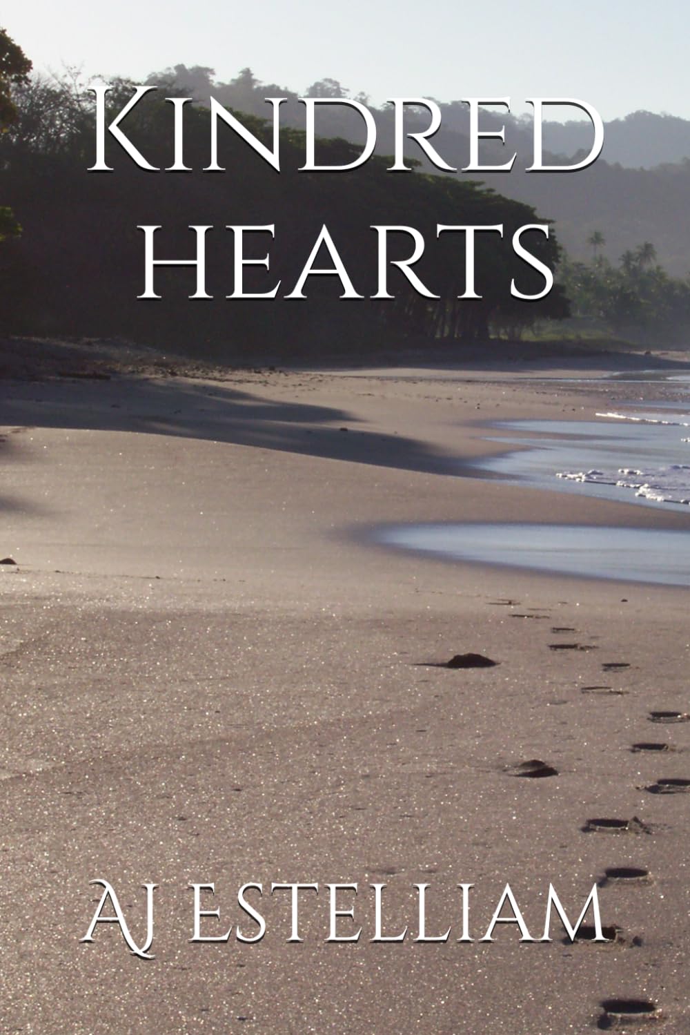 Kindred hearts (Romance and relationships series)