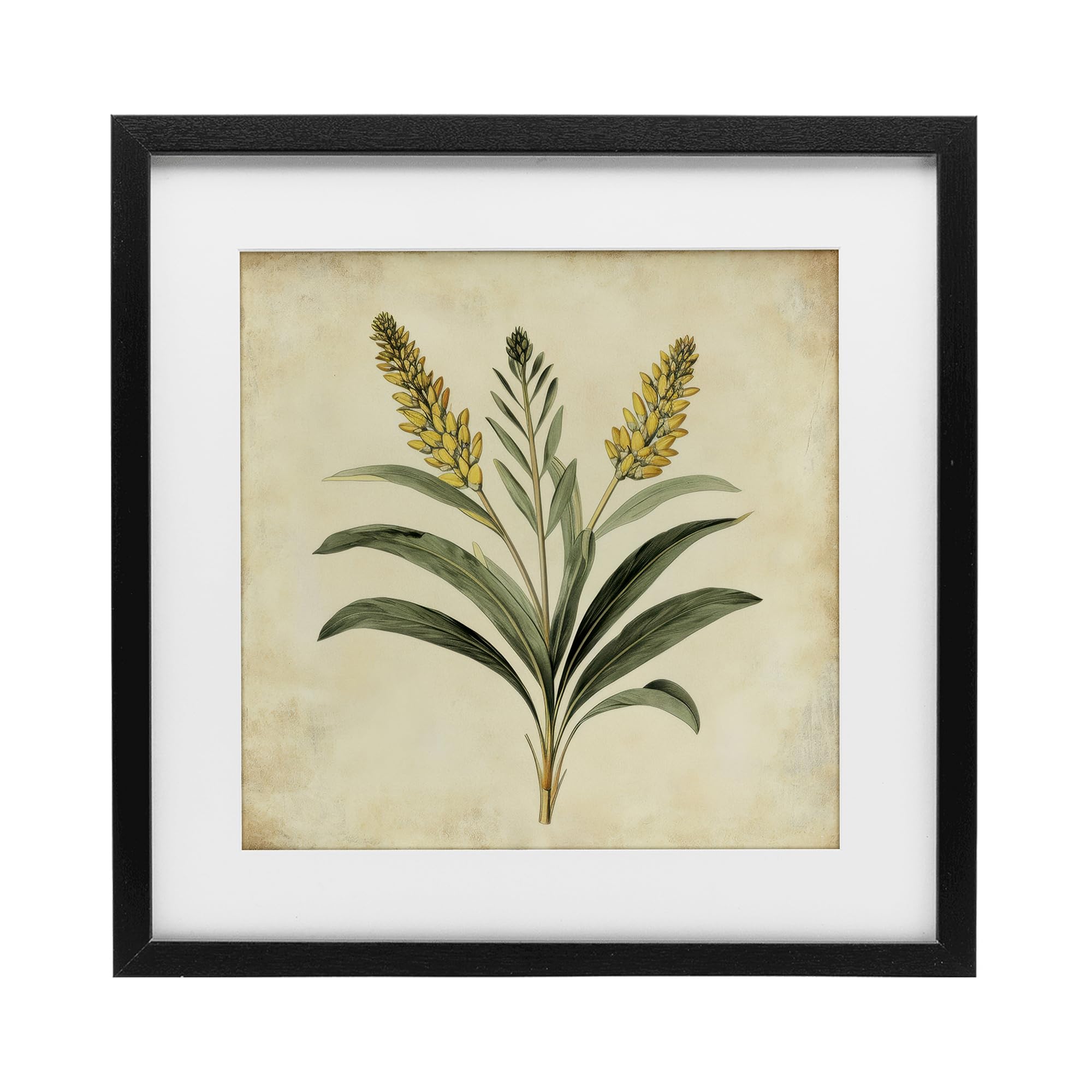 Affiche blé jaune sous verre pour salon chaleureux tableau vintage Stupell cadre blanc 40cm