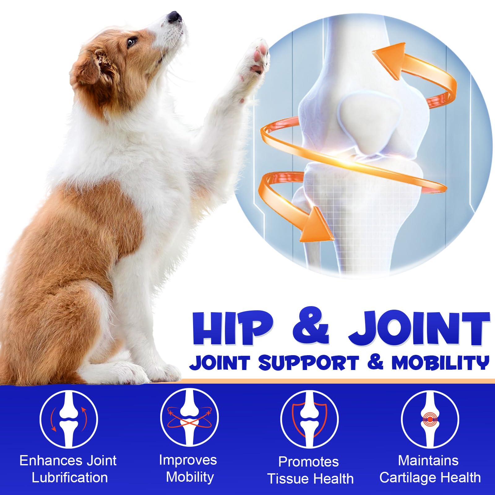Hip and Joint Supplement for Dogs 180 Tablets Dog Joint Support & Mobility Supplement - Image 3