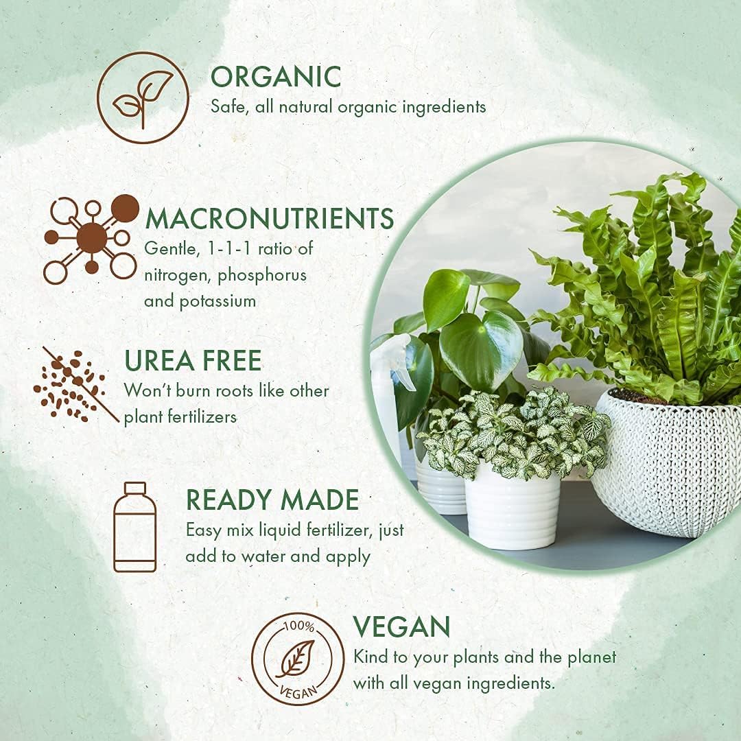 Organic Indoor Plant Food - All-Purpose Liquid Fertilizer - Best for Live Houseplants Indoors + Common Home Outdoor Plants in Pots (8 oz) - Image 5