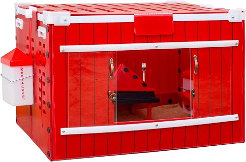 RentACoop Little Red Barn - Juego de cría plegable para pollitos  Capacidad para 4 pollitos de hasta 8 semanas de edad  El juego todo en uno incluye