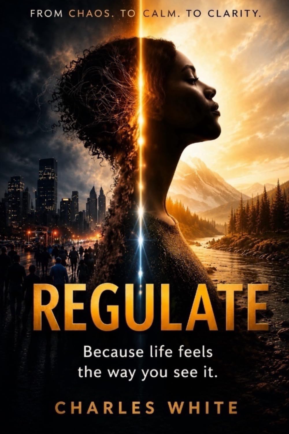 Regulate: Perspective Determines Feelings A Guide to Emotional Balance, Self-Awareness, and Inner Peace