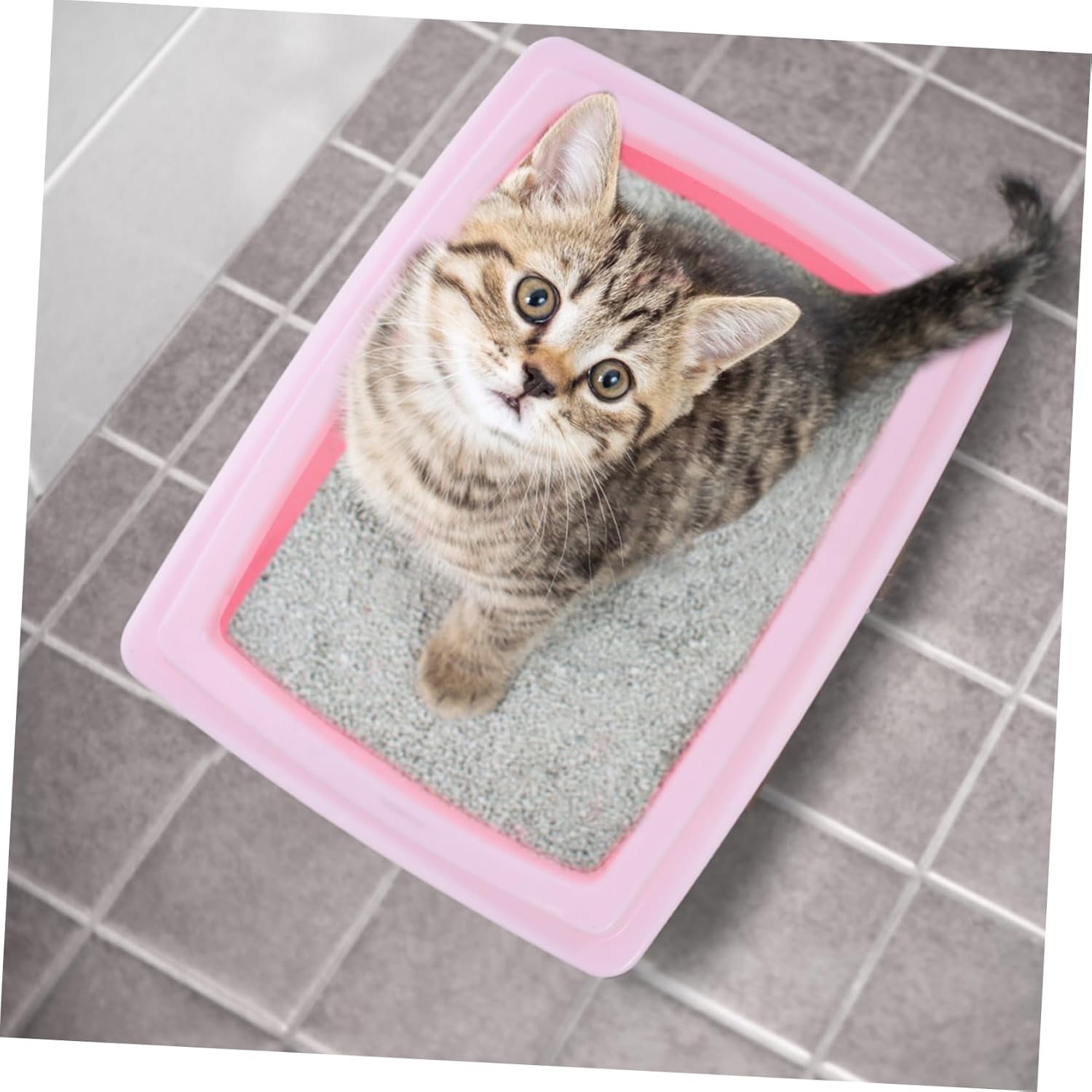 POPETPOP Low Entry Cat Litter Box Scoop Portable Plastic Potty for Senior Cats and Kittens Litter Tray Scatter Easy Cleaning
