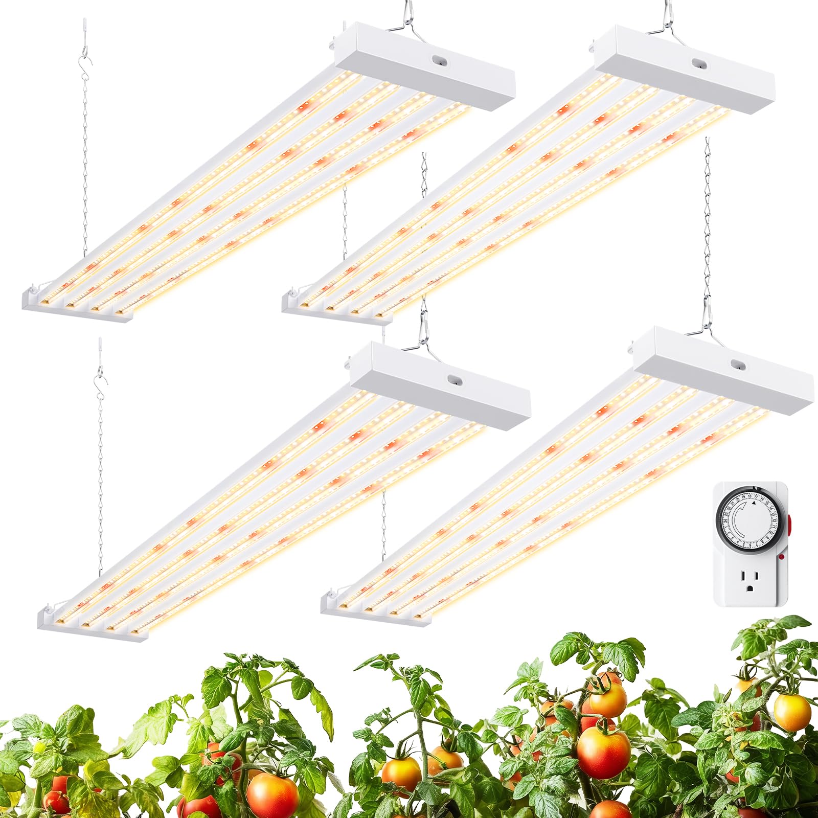 Barrina TX-L63 4-Pack