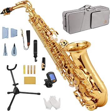 STRICH Bb Tenor Saxophone for Student Beginner, Brass Tenor Sax Kit with Hard Case Stand Neck Strap Mouthpiece and Reeds for Band School, STS-130G, Gold