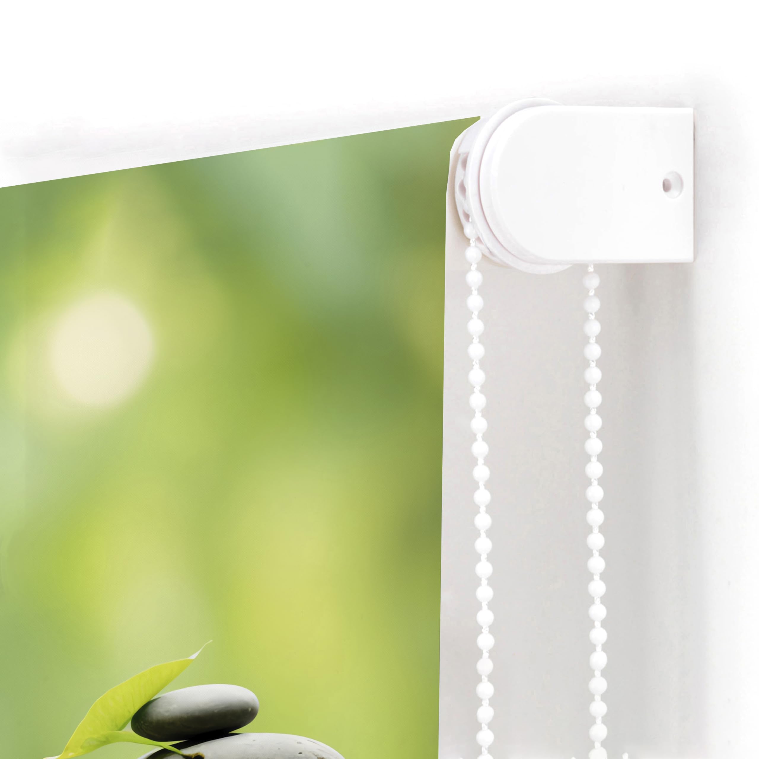 Blindecor Digital | Rollo durchscheinend Bedruckt | Familie Zen | Modell Z-Teich | 150 x 180 cm (Breite x Höhe) | Stoffgröße 146 x 175 cm | Fensterrollos