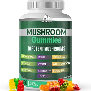 علكة الفطر 10 مجمع فطر مع Lions Mane وReishi وChaga وCordyceps والمزيد من العلكة النباتية الفاكهية غير المعدلة وراثيًا والخالية من الغلوتين والنباتية 1 عبوة