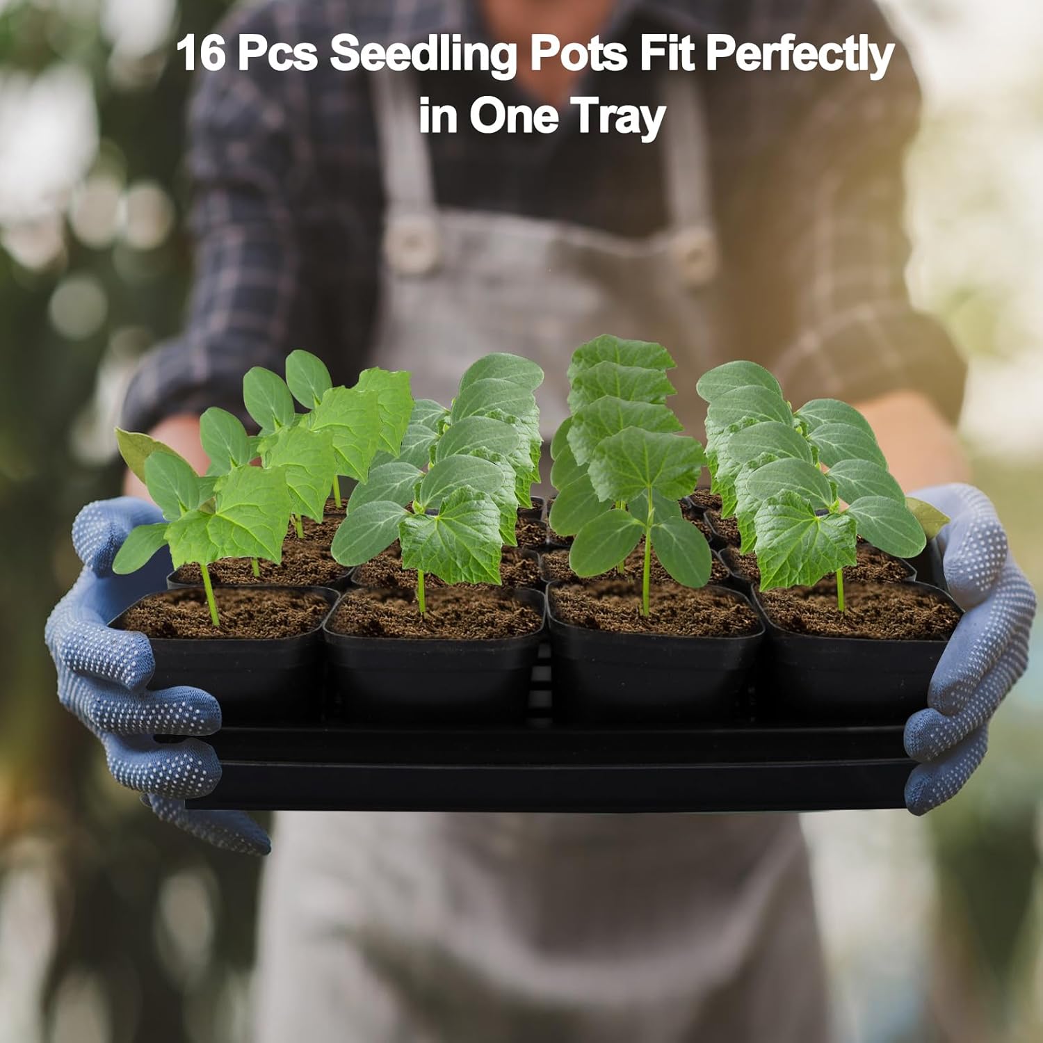 80Pcs 2.5inch Square Nursery Pots with 5Pcs Seed Starting Trays, Seed Starter Tray Kit, Seeds Starting Germination, Seeding Pots with Drain Holes, Small Plant Nursery Propagation - Image 3
