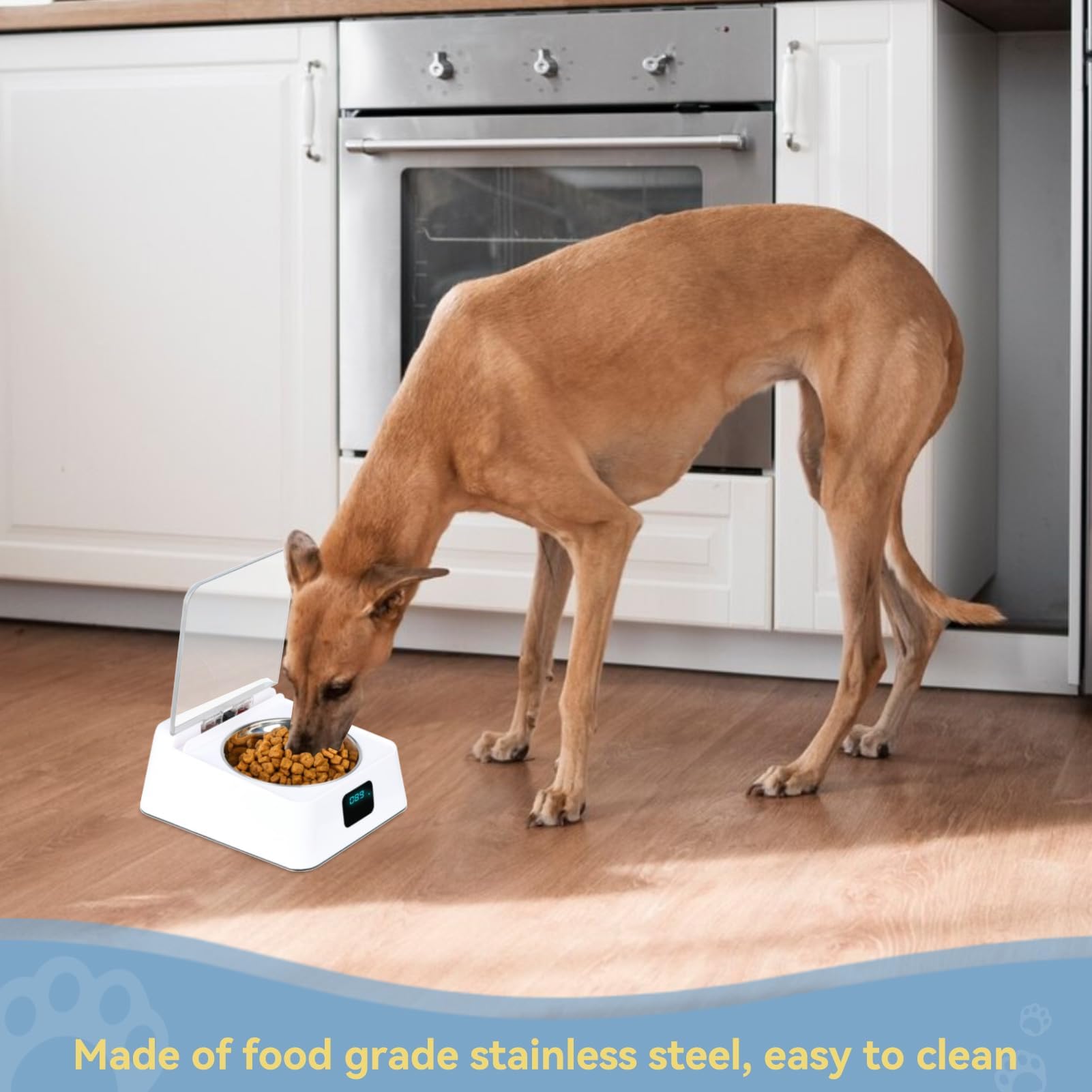 Mangeoire Automatique pour Chat, Couvercle à Induction De 350 ML, Distributeur De Nourriture pour Animaux De Compagnie, Alimentation Intelligente, Mangeoire Automatique pour Chats Et Chiens