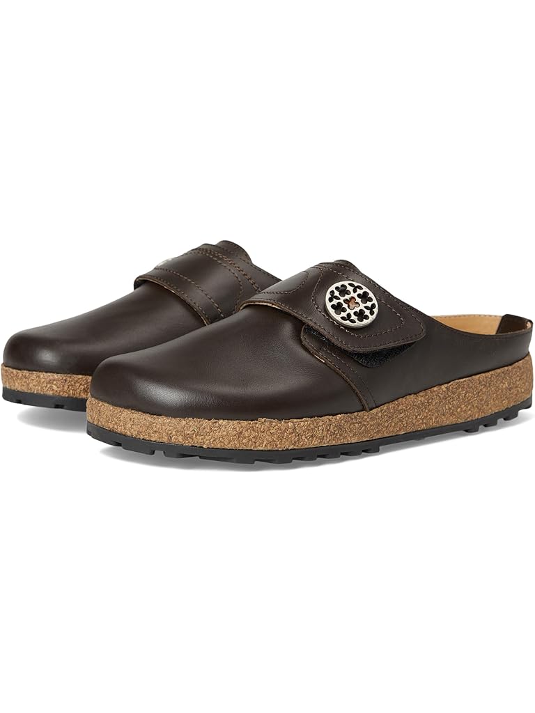 Brown Haflinger Carly