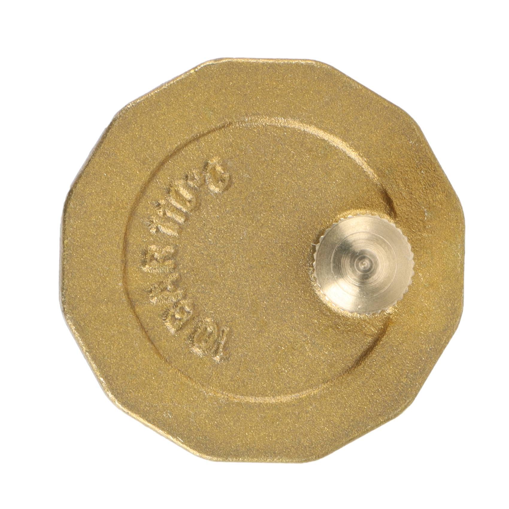 Vanne De Purge Automatique Laiton 3/4" - Pour Chauffe-eau Solaire Et Chauffage - 2
