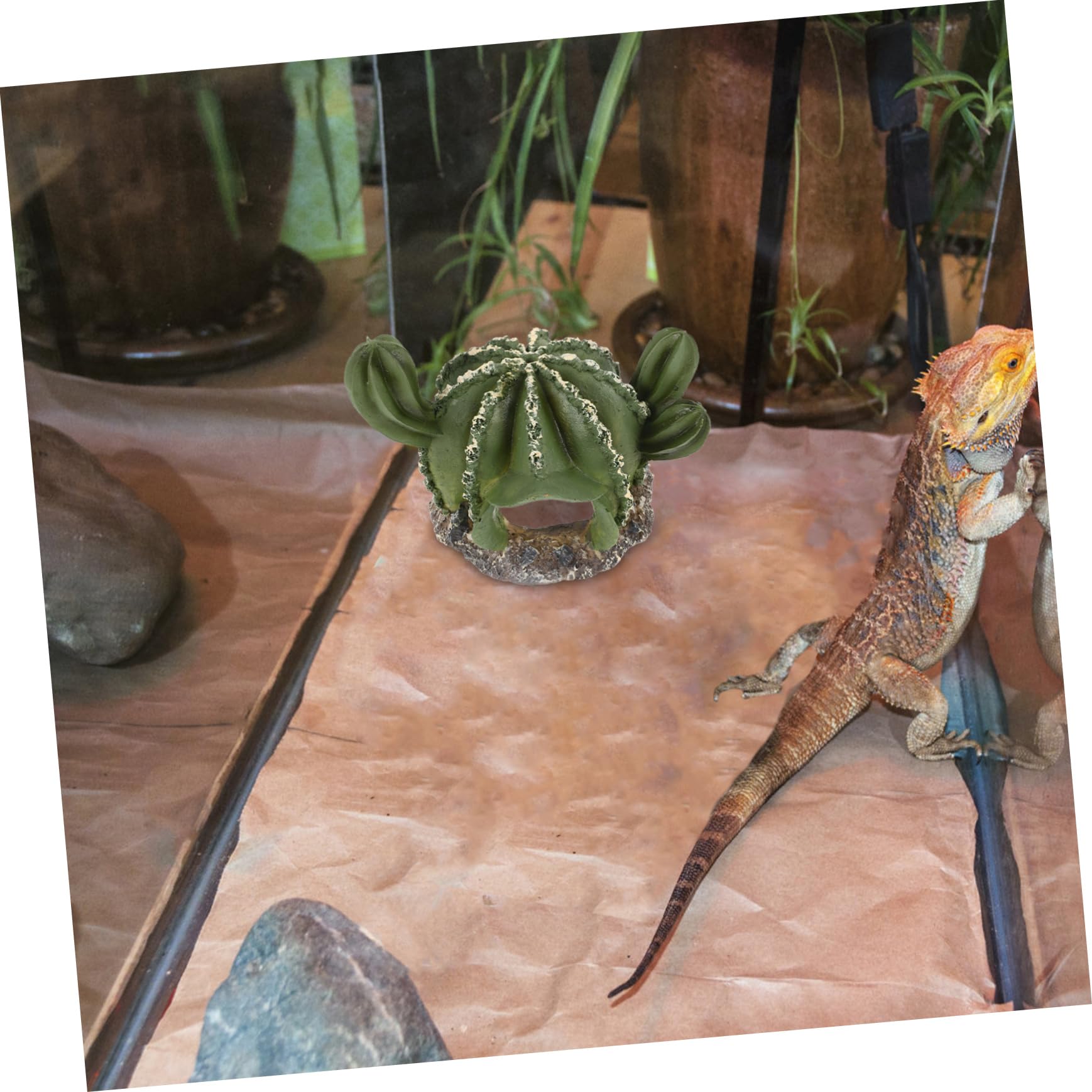 BESPORTBLE 4piezas Cueva Oculta De Cactus para Reptiles Refugio Decorativo De para y Serpientes Multiusos para Terrario y Hábitat Natural