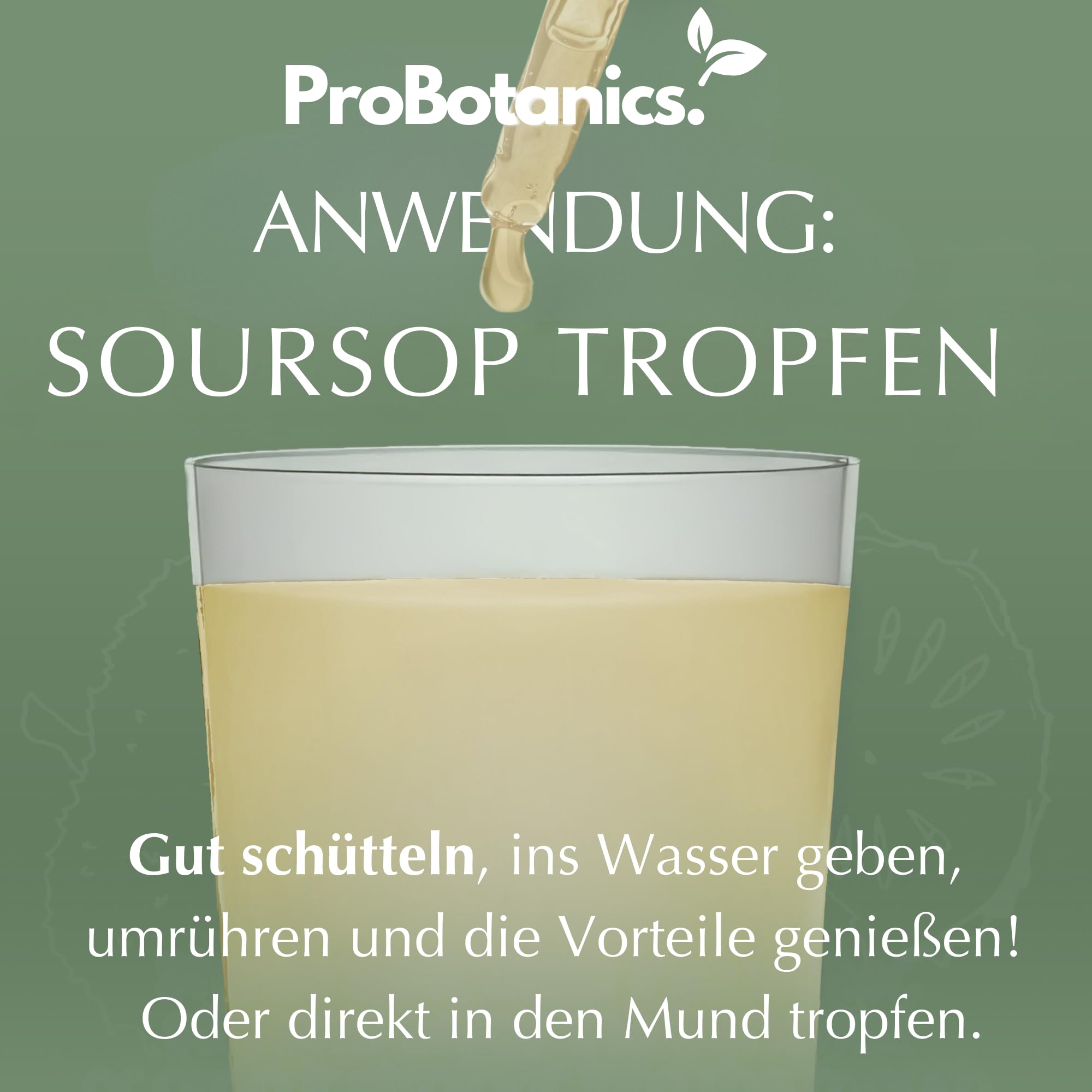 Graviola Tropfen für Zellunterstützung & Regeneration | Hochdosiert 600mg pro Portion (30:1 Extrakt entspricht 18000mg) | Starkes Antioxidans & Immununterstützung - Monatsvorrat - 60ml