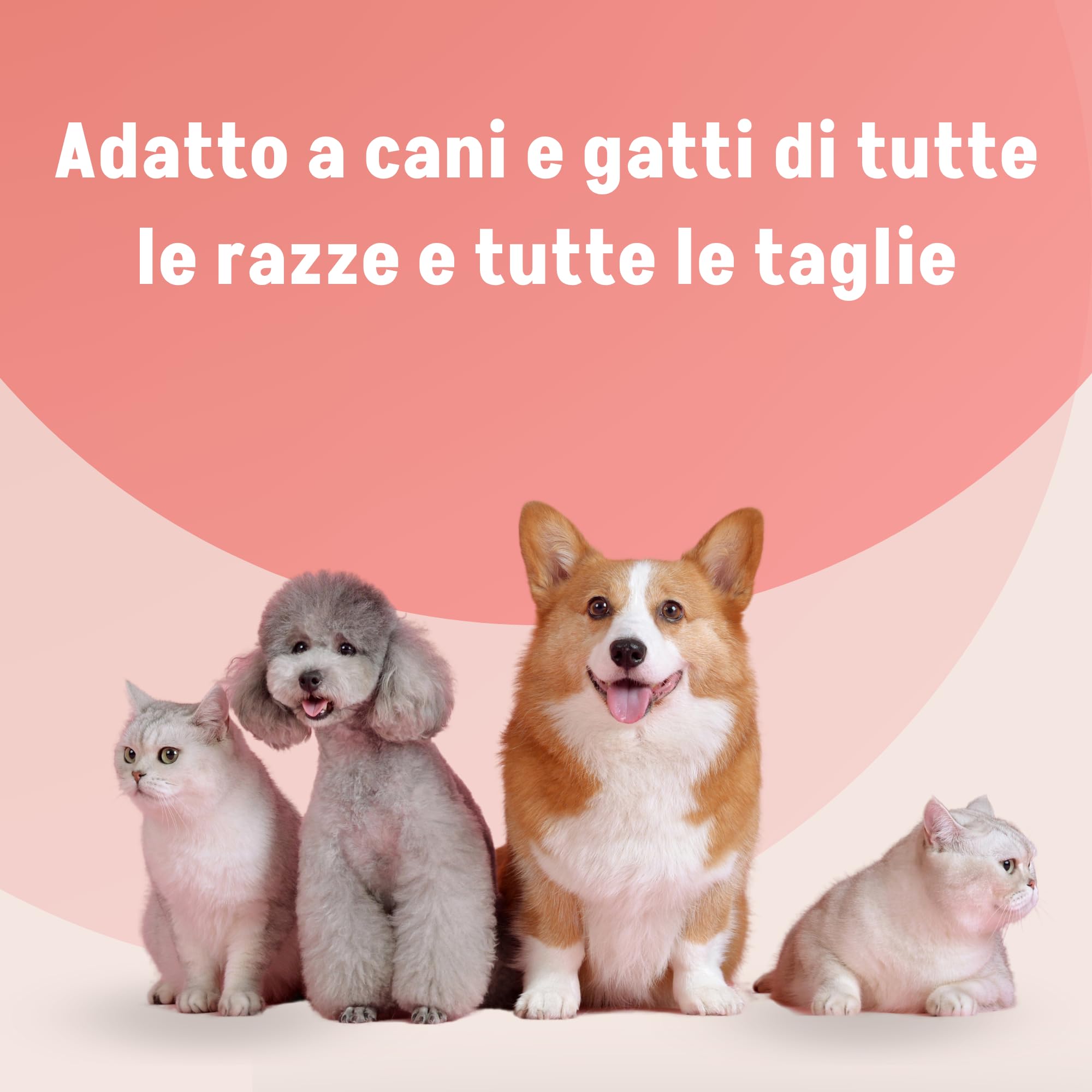 SLAIS Srl Rifoson Travel per Cani e Gatti – Alimento Complementare in Emulsione Fluida – con Zenzero, Valeriana, Passiflora ed Escolzia – 100 ml con Siringa Graduata