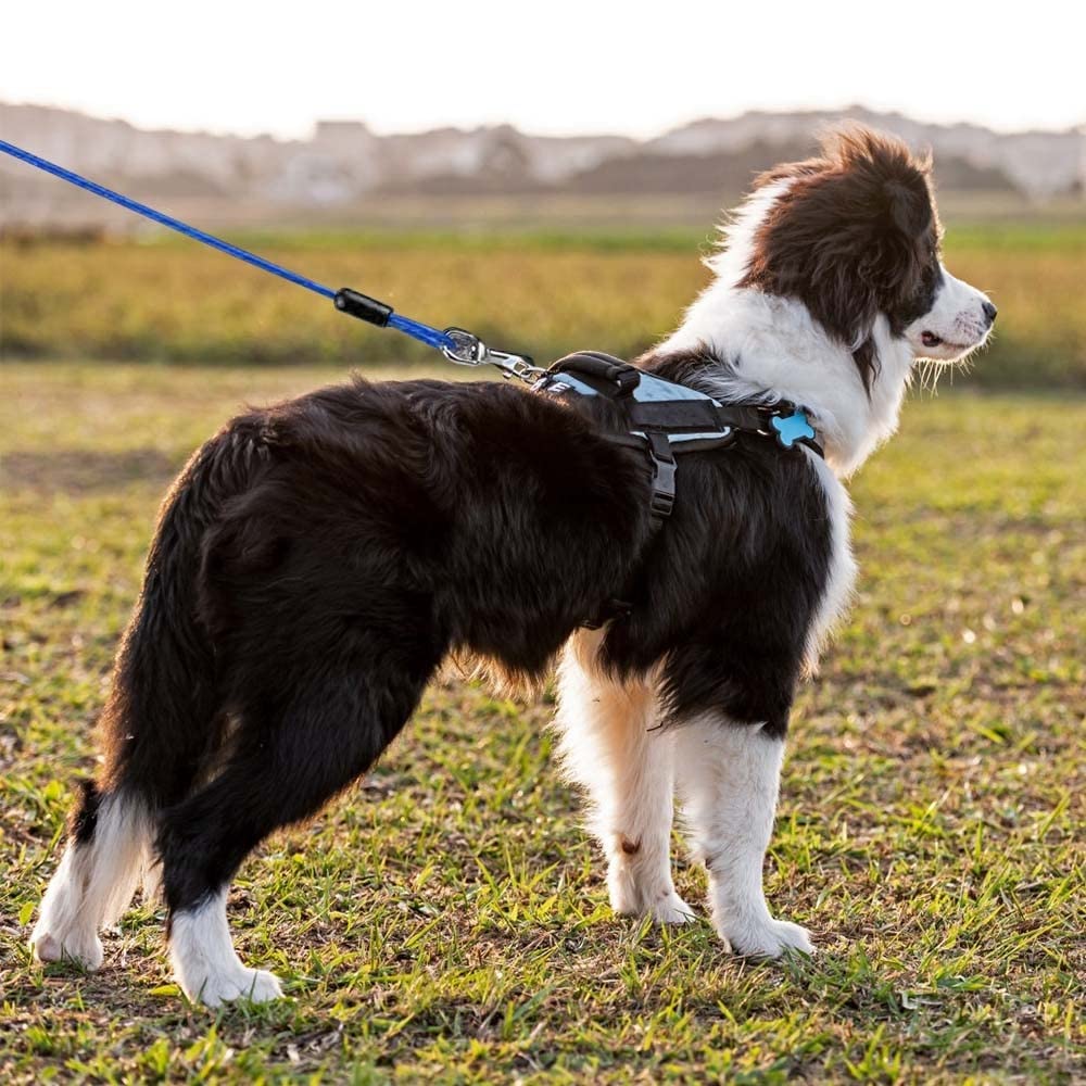 DONGKER Cable de amarre para perro de 3 m, correa de alambre de acero reflectante para mascotas con gancho giratorio de 360° para perros medianos y grandes de hasta 130 libras