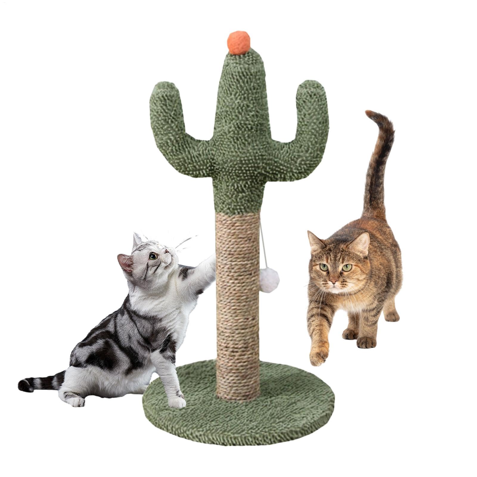 Arbre à chat cactus stable pour chaton d'intérieur évitant la chute du griffoir