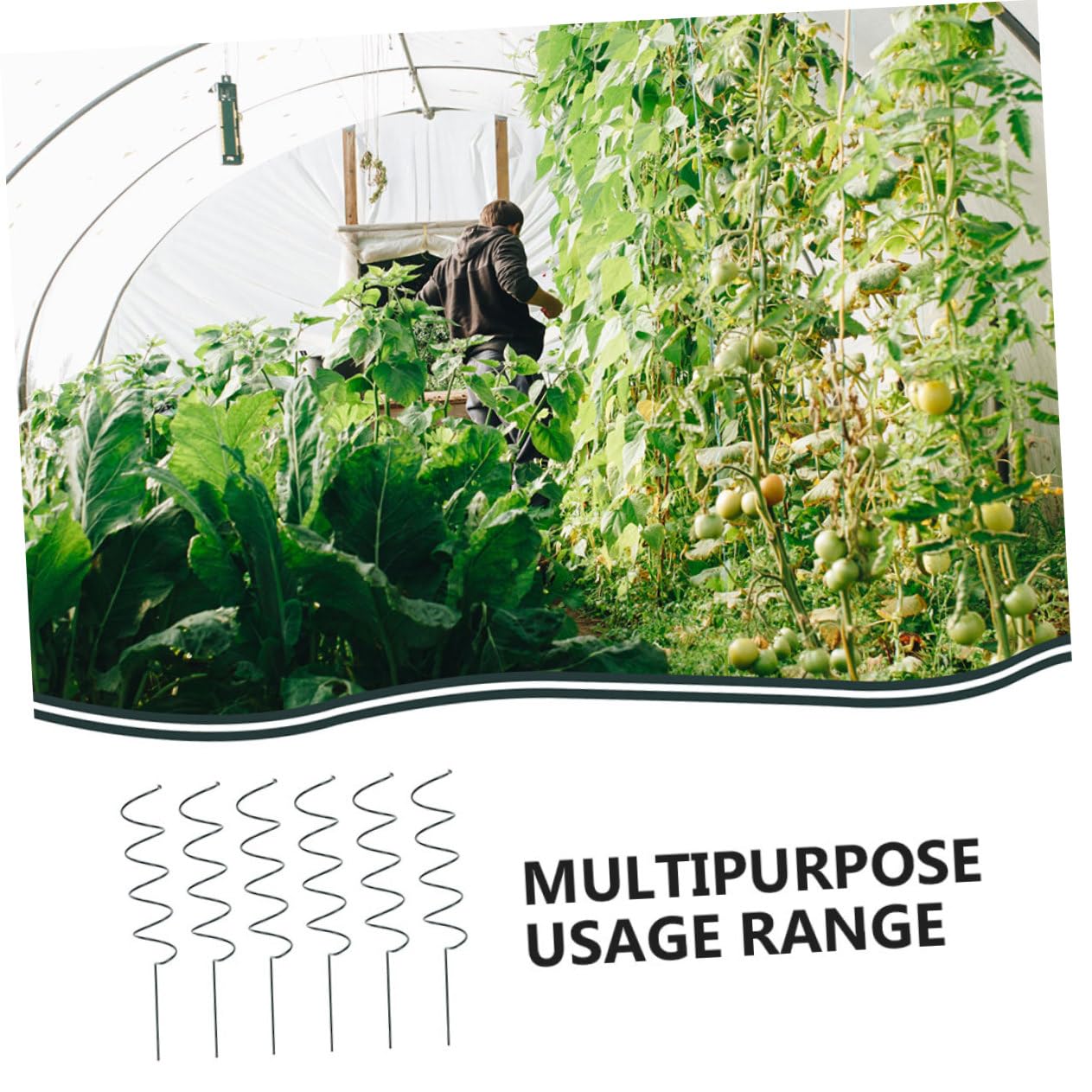 YARNOW 8 Pièces Tuteurs Spirales en Fer Support de Tige de Plante Facile à Insérer pour Orchidées et Cactus Crab en Intérieur et Extérieur