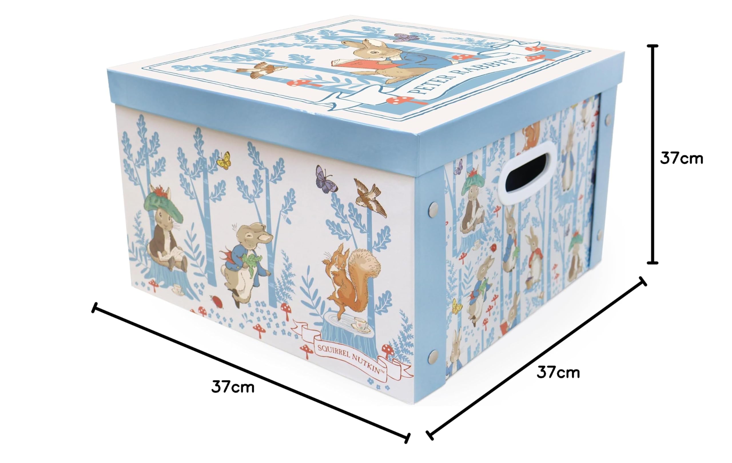 Peter Rabbit Collapsible Storage Box with Lid & Handles | Kids Toy