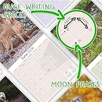 Vista 101 de Razas de Perros 2017