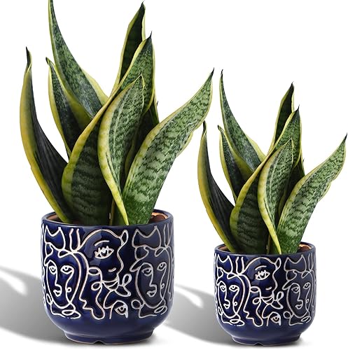 Macetas de cerámica para interiores con orificio de drenaje de 6.6 pulgadas y 5.4 pulgadas, 2 juegos de macetas cilíndricas medianas con diseño