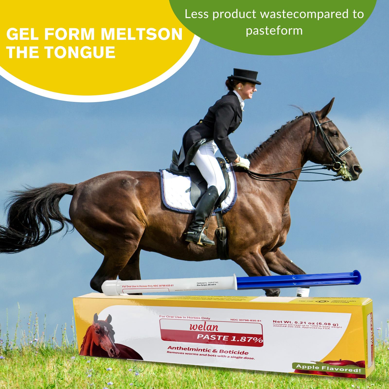 Lot de 6 gels pour chevaux 1,87 % saveur de pomme pour chevaux jusqu'à 567 kg