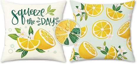 Bonhause Wasserdicht Kissenbezüge Zitrone Obst 40 x 40 Sommer Outdoor Deko | Doppelseitig Summer Waterproof Dekorative Kissenhülle Zierkissenbezüge für Sofa Schlafzimmer Wohnzimmer Auto Zuhause Deko